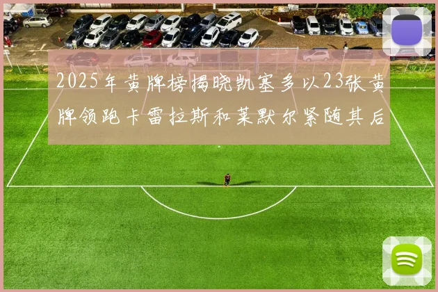 2025年黄牌榜揭晓凯塞多以23张黄牌领跑卡雷拉斯和莱默尔紧随其后