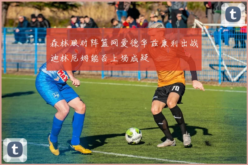 森林狼对阵篮网爱德华兹康利出战迪林厄姆能否上场成疑